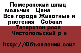 Померанский шпиц, мальчик › Цена ­ 35 000 - Все города Животные и растения » Собаки   . Татарстан респ.,Чистопольский р-н